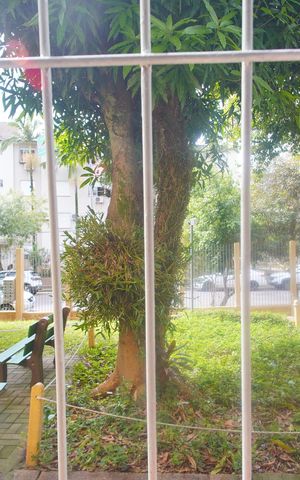 Apartamento para alugar com 46m², 2 quartos e 1 vagaVISTA DA SALA