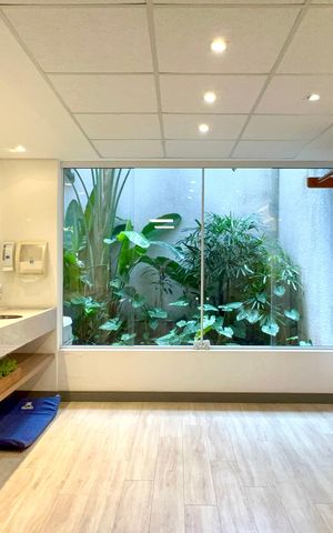 Apartamento para alugar com 45m², 1 quarto e sem vaga Apartamento para alugar com 45m², 1 quarto e sem vagaAcademia