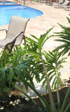 Apartamento para alugar com 78m², 2 quartos e 2 vagasÁrea comum - Piscina