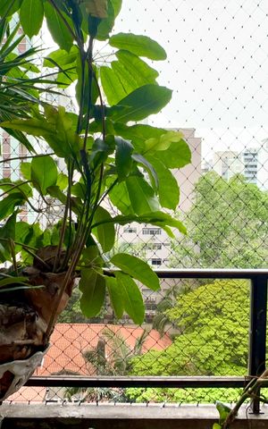Apartamento para alugar com 53m², 1 quarto e 1 vaga Apartamento para alugar com 53m², 1 quarto e 1 vagaVaranda