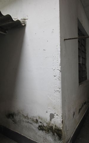 Casa de condomínio para alugar com 76m², 1 quarto e sem vagaÁrea de serviço