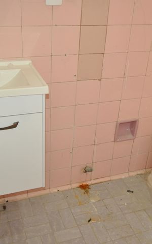 Casa para alugar com 120m², 2 quartos e sem vagaBanheiro social
