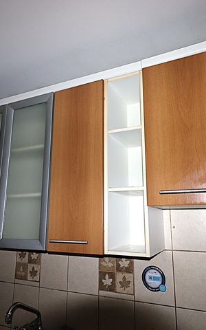 Apartamento à venda com 86m², 2 quartos e 2 vagasCozinha - Armários