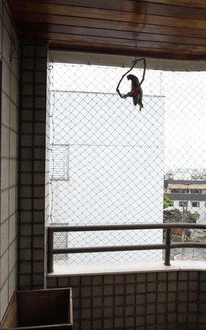 Apartamento para alugar com 122m², 3 quartos e 2 vagasVaranda da Sala
