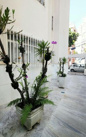 Apartamento para alugar com 280m², 4 quartos e 2 vagas Apartamento para alugar com 280m², 4 quartos e 2 vagasÁrea externa