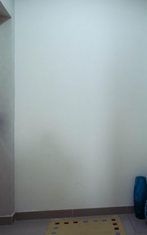 Apartamento à venda com 249m², 3 quartos e 4 vagasHall Privativo