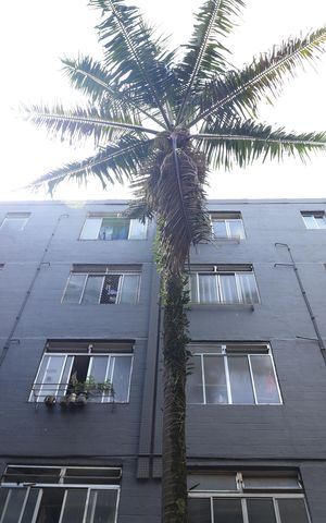 Apartamento à venda com 54m², 2 quartos e 1 vagaÁrea comum