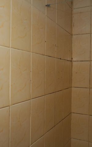 Apartamento à venda com 54m², 2 quartos e 1 vagaBanheiro