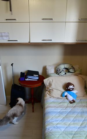 Apartamento à venda com 54m², 2 quartos e 1 vagaQuarto 1