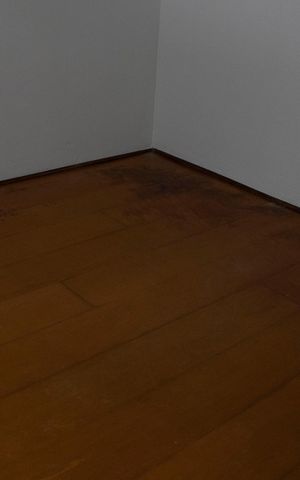 Apartamento para alugar com 56m², 2 quartos e sem vagaQuarto 2