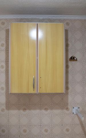 Apartamento para alugar com 56m², 2 quartos e sem vagaCozinha