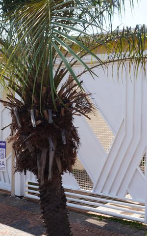 Casa para alugar com 260m², 4 quartos e 5 vagasFachada com plaquinha HVTG-893