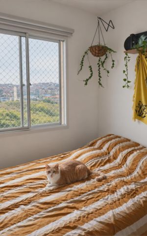 Apartamento para alugar com 45m², 2 quartos e sem vagaQuarto 1
