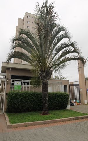 Apartamento à venda com 45m², 2 quartos e 1 vagaFachada