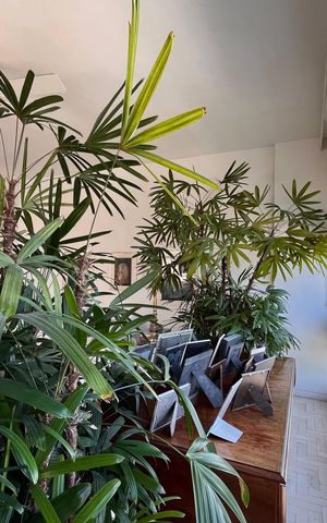 Apartamento à venda com 176m², 4 quartos e 1 vaga