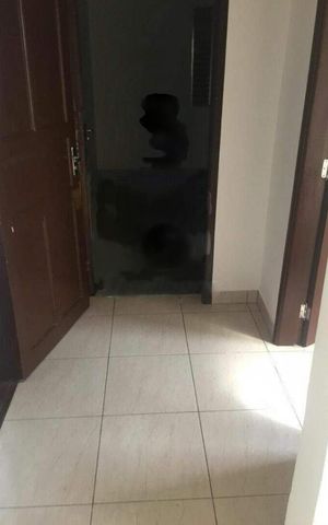 Casa à venda com 300m², 2 quartos e sem vaga