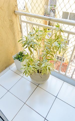 Apartamento à venda com 82m², 2 quartos e 1 vagaVaranda da Sala
