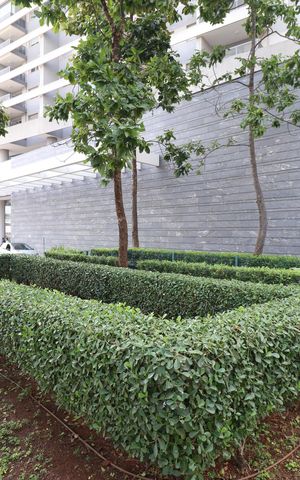 Apartamento para alugar com 60m², 2 quartos e 1 vagaFachada 