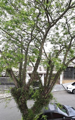 Casa para alugar com 290m², 3 quartos e 2 vagas Casa para alugar com 290m², 3 quartos e 2 vagasVista do Quarto 1