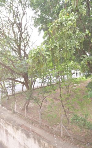 Apartamento para alugar com 93m², 3 quartos e 1 vagaVista