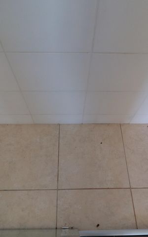 Apartamento para alugar com 52m², 2 quartos e 1 vagaBanheiro 