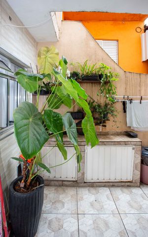 Casa à venda com 125m², 4 quartos e 2 vagasÁrea de Serviço