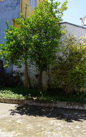 Casa para alugar com 200m², 2 quartos e 2 vagasQuintal