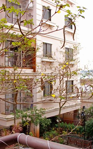 Apartamento à venda com 66m², 3 quartos e 2 vagasSala Varanda