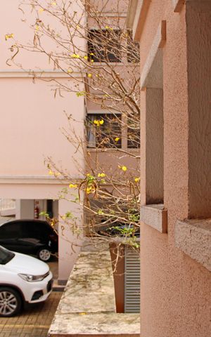 Apartamento à venda com 66m², 3 quartos e 2 vagasQuarto 2 Vista