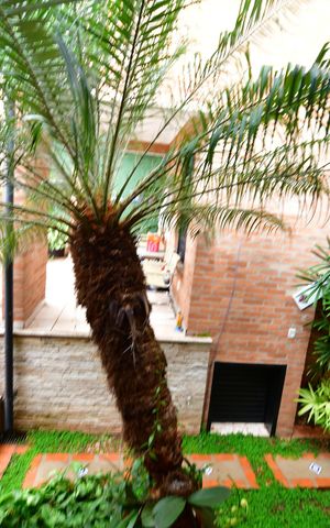 Casa de condomínio para alugar com 238m², 3 quartos e 4 vagasQuarto 1 - Suíte Vista