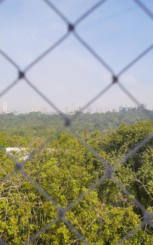 Apartamento para alugar com 70m², 2 quartos e 1 vagaVista do Quarto 2