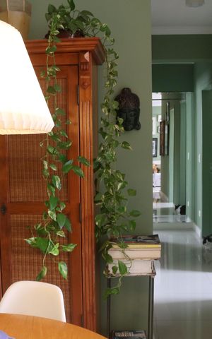 Apartamento à venda com 63m², 2 quartos e 1 vagaSala