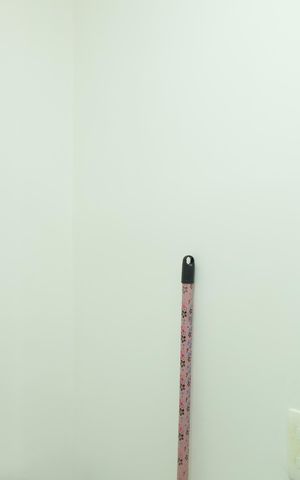 Studio para alugar com 19m², 1 quarto e sem vagaBanheiro 