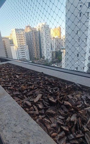Apartamento para alugar com 110m², 3 quartos e 2 vagas Apartamento para alugar com 110m², 3 quartos e 2 vagasjardineira