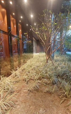Apartamento para alugar com 110m², 3 quartos e 2 vagas Apartamento para alugar com 110m², 3 quartos e 2 vagasJardim