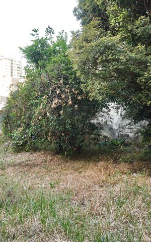 Casa à venda com 386m², 5 quartos e 4 vagas Casa à venda com 386m², 5 quartos e 4 vagasQuintal