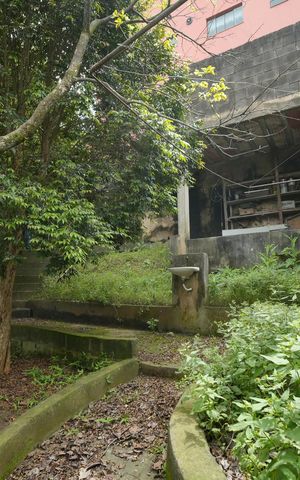 Casa para alugar com 345m², 4 quartos e 5 vagasQuintal