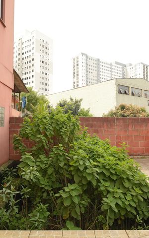 Casa para alugar com 345m², 4 quartos e 5 vagasQuintal