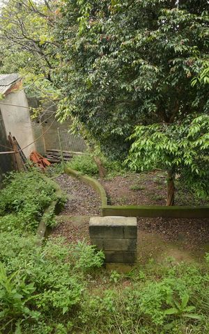 Casa para alugar com 345m², 4 quartos e 5 vagasQuintal