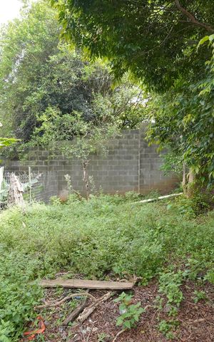Casa para alugar com 345m², 4 quartos e 5 vagasQuintal