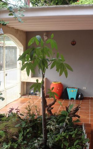 Casa à venda com 133m², 2 quartos e 2 vagasGaragem