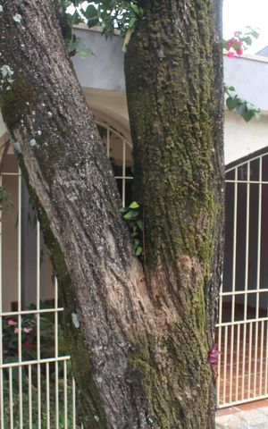 Casa à venda com 133m², 2 quartos e 2 vagasPlaca