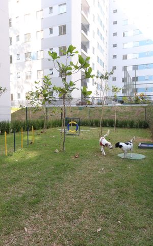 Apartamento para alugar com 35m², 1 quarto e sem vagaÁrea comum - Espaço Pet