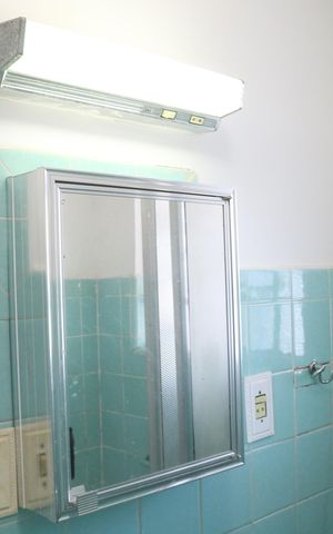 Apartamento para alugar com 48m², 2 quartos e sem vagaBanheiro