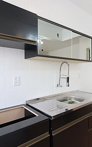 Apartamento à venda com 53m², 1 quarto e sem vagaCozinha