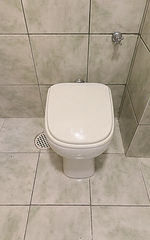 Apartamento à venda com 53m², 1 quarto e sem vagaBanheiro 