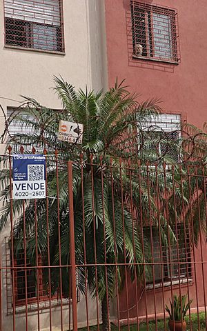 Apartamento à venda com 53m², 1 quarto e sem vagaFachada do Prédio