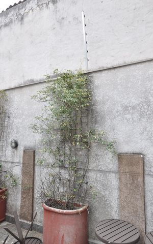 Apartamento para alugar com 120m², 2 quartos e 2 vagasÁrea comum