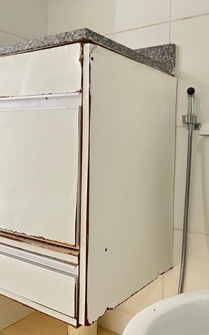 Apartamento para alugar com 45m², 2 quartos e sem vaga Apartamento para alugar com 45m², 2 quartos e sem vagaBanheiro - Armário (será substituído)