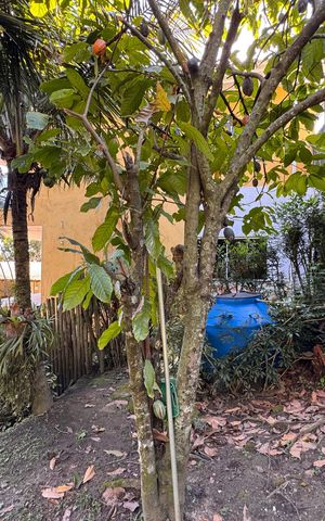Casa de condomínio para alugar com 280m², 3 quartos e 2 vagasÁrea externa